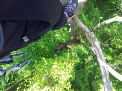 20140504_145305.jpg