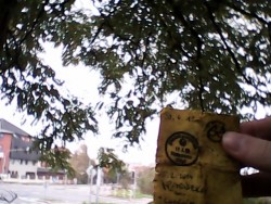 IMG_20141029_143137.jpg