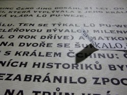 P1060151.JPG