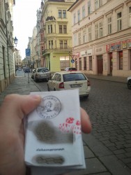 20150412_174440.jpg