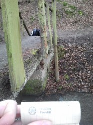 20150402_102356.jpg
