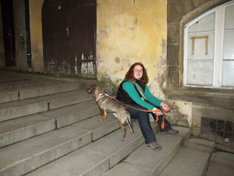 V hlavní roli Ajkopes.